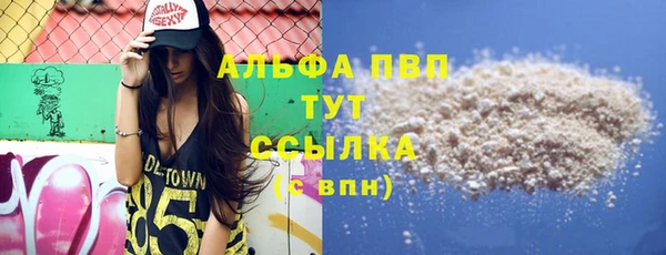 ешки Алексин
