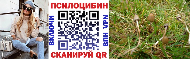 блэк спрут вход  Циолковский  Галлюциногенные грибы GOLDEN TEACHER 